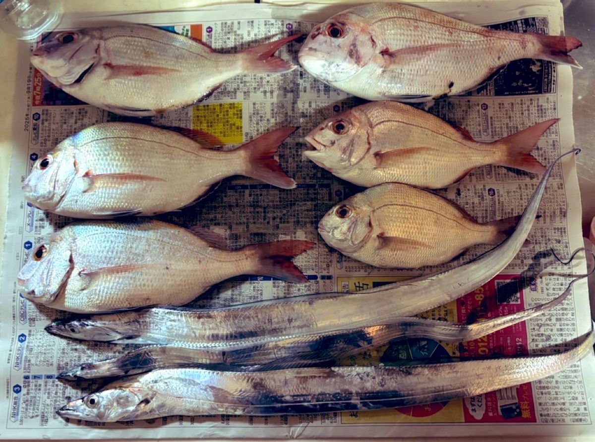 たぴのさんの釣果 2枚目の画像