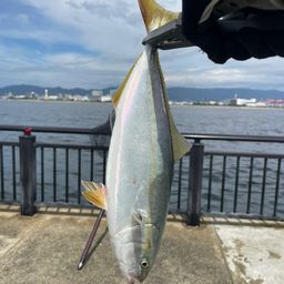 ツバス