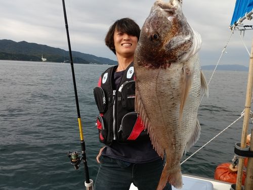 マダイの釣果