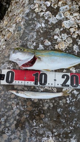 網代浜海水浴場