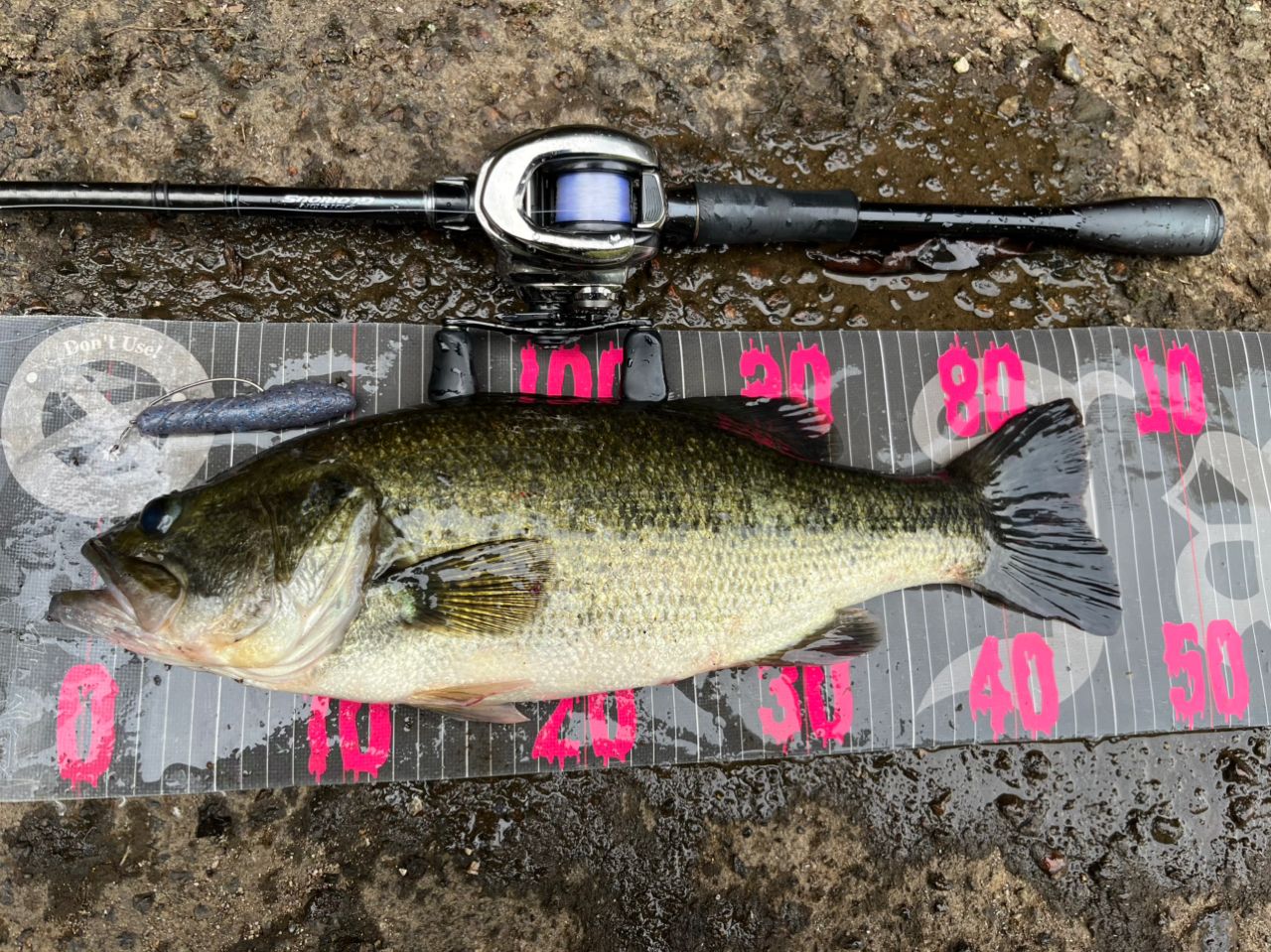 シマノ21 ポイズングロリアス 174MH+ シマノ(SHIMANO) 21 ポイズングロリアス 174MH+(旧仕様:TORZITE
