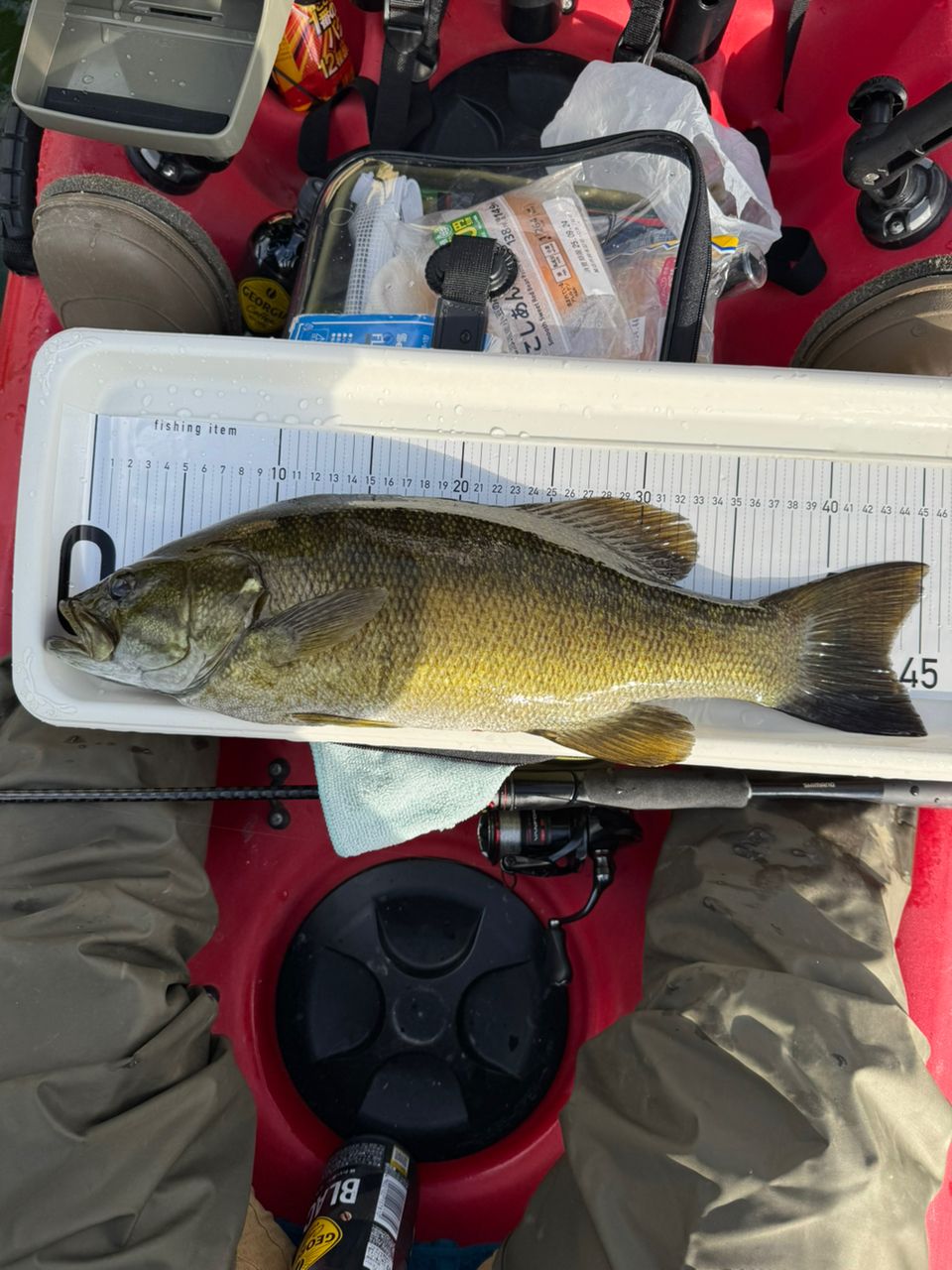 スモールマウスバス