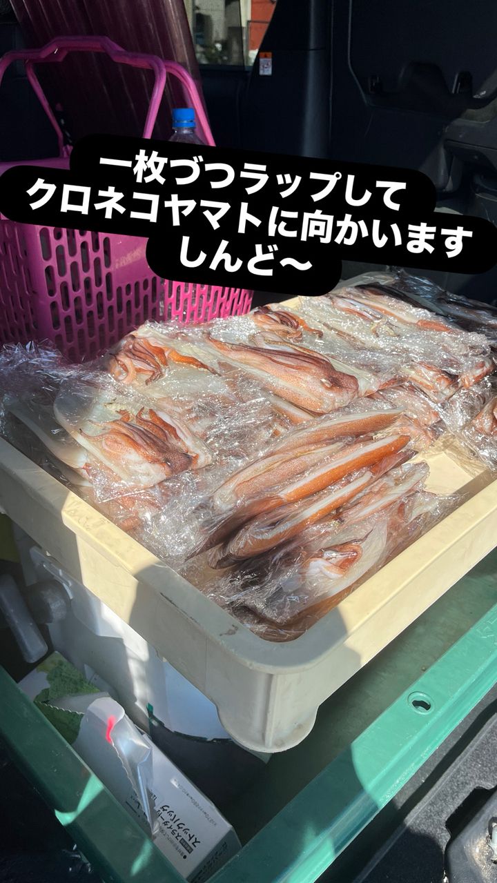 スルメイカ