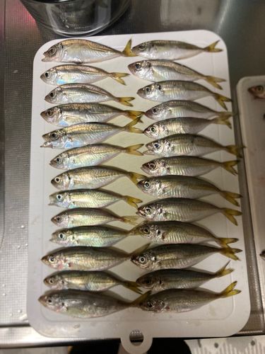 那珂湊港