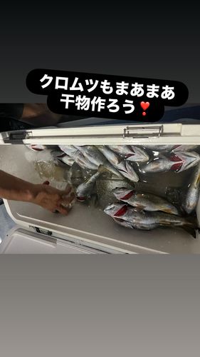 外房