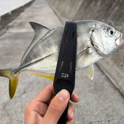 メッキ