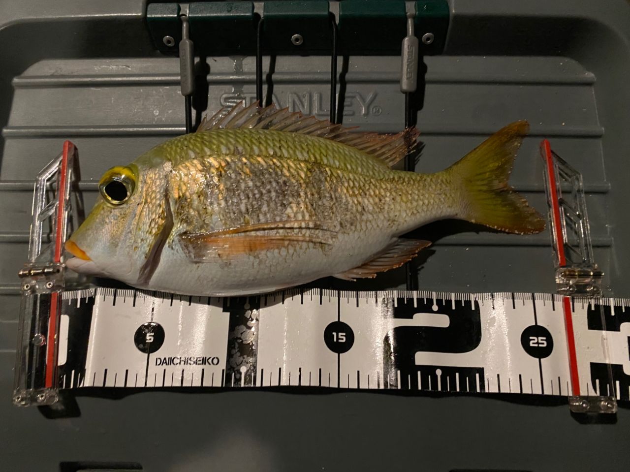 DAIWA 18ショアキャスト SS 4500の最安値・インプレ・釣果 | 本音の