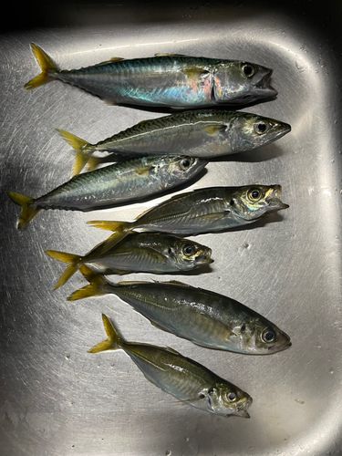 小名浜港アクアマリンふくしま周辺