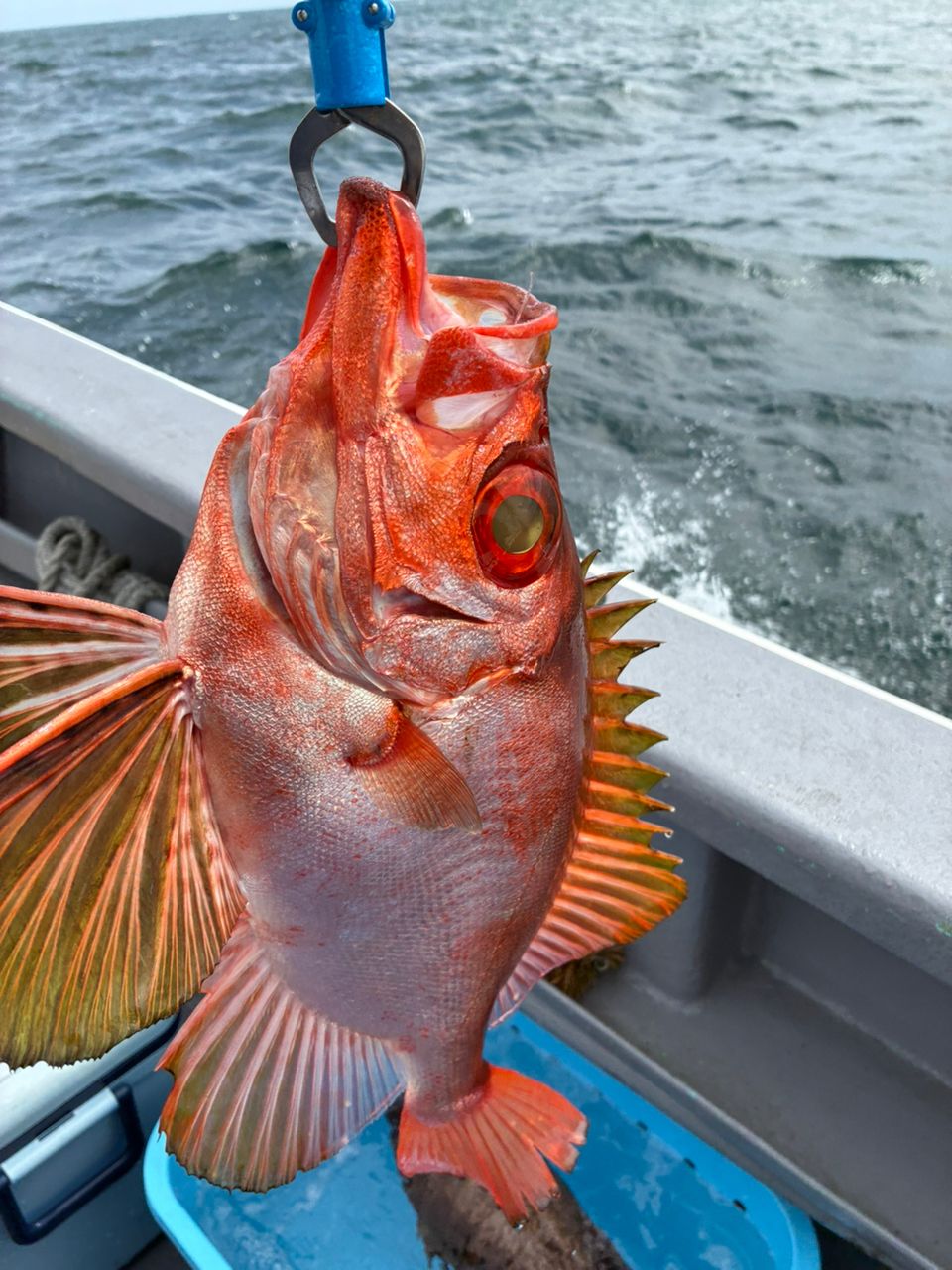 ななともさんの釣果 1枚目の画像