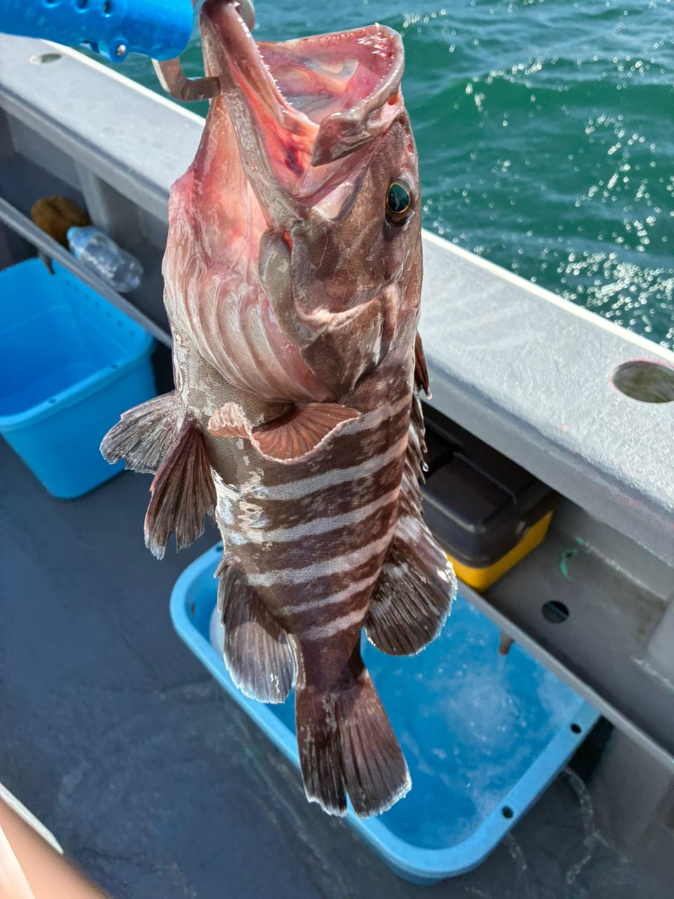 ななともさんの釣果 2枚目の画像