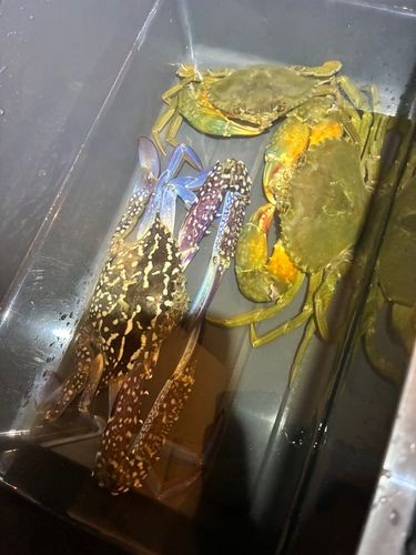 中浜名湖