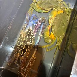 タイワンガザミ