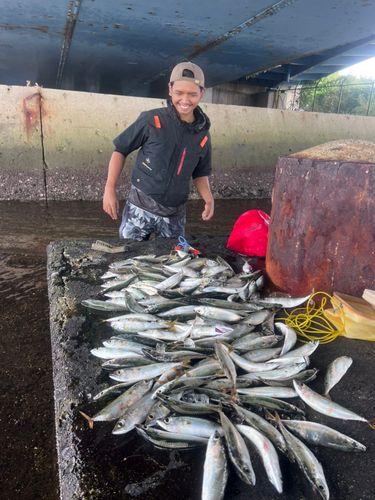 釣果