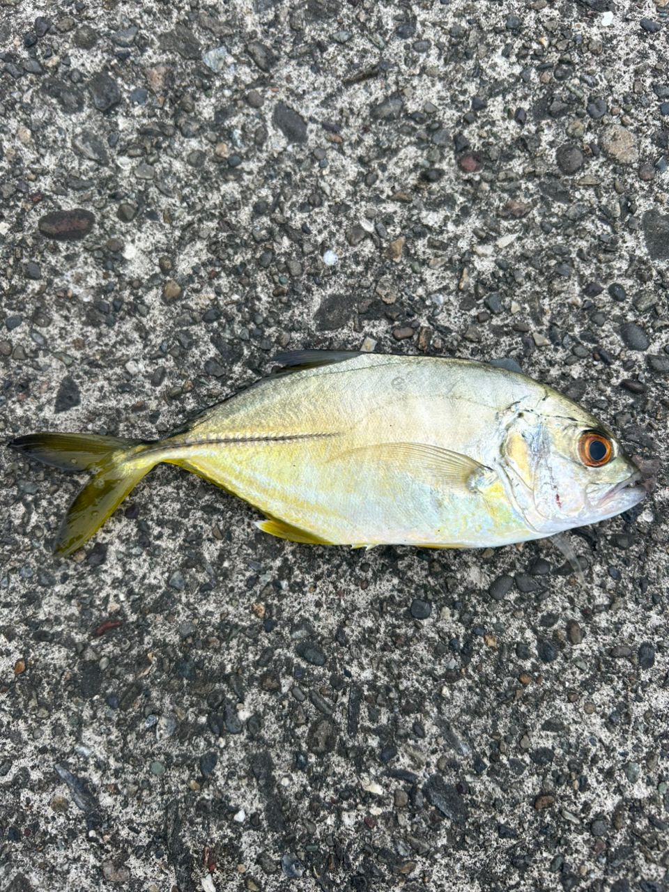 メッキ
