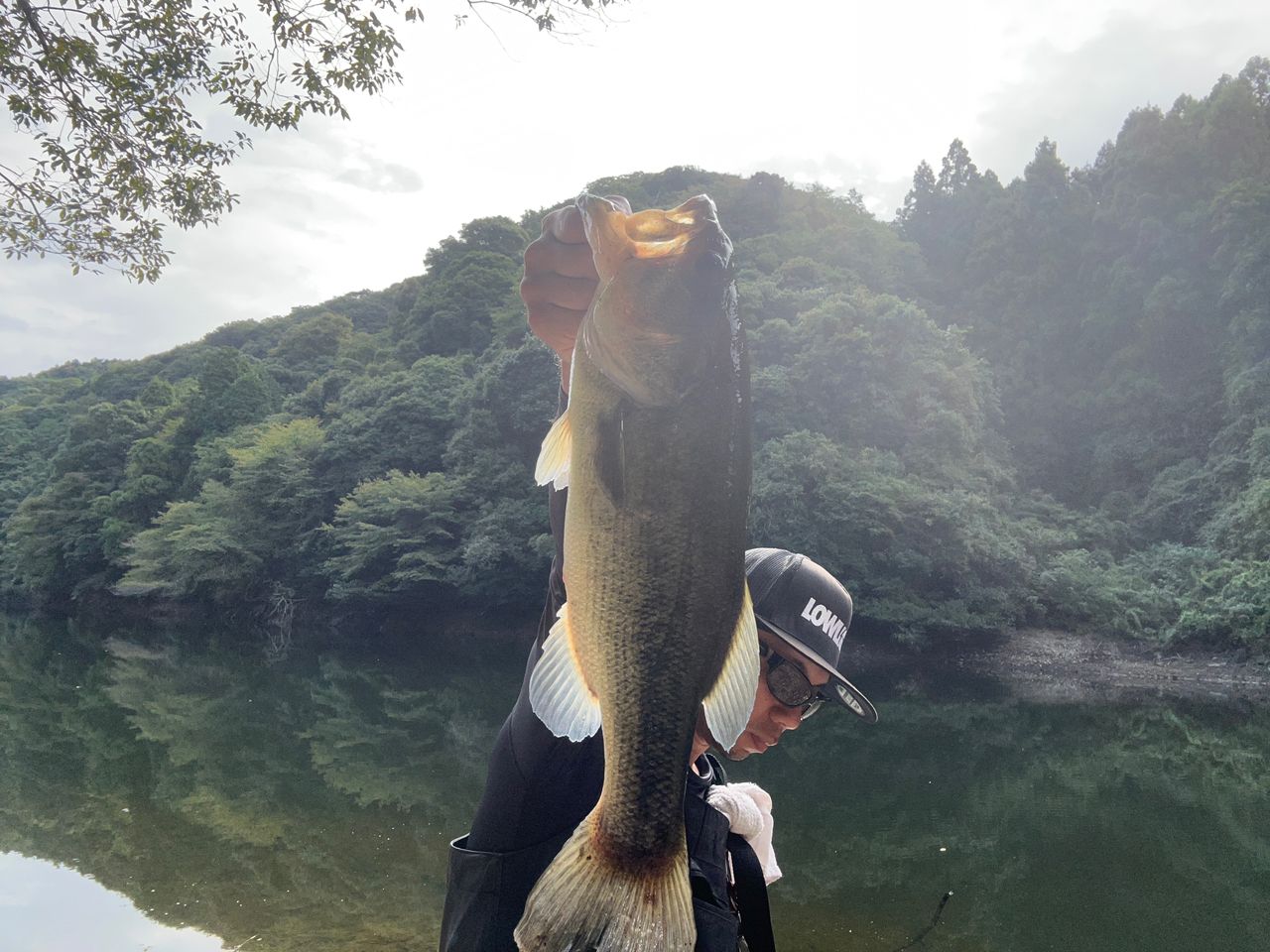 ブラックバス