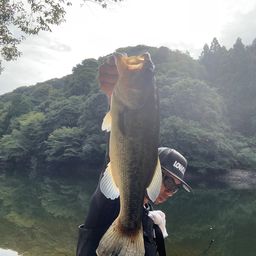 ブラックバス