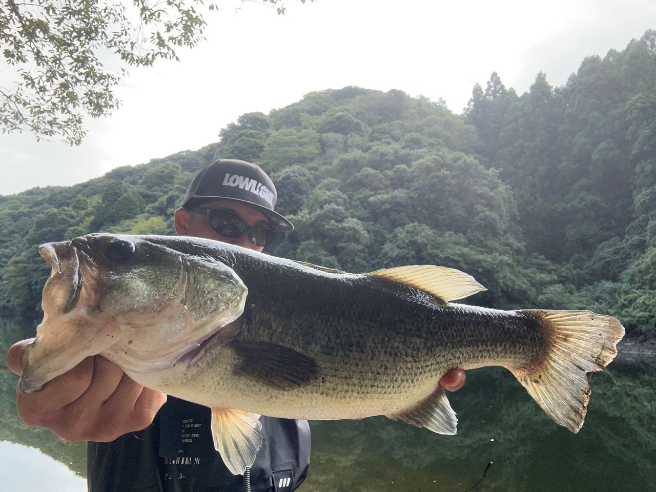 ブラックバス