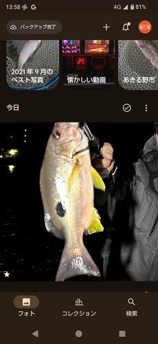 コバルト堤防