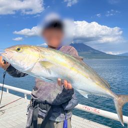 カンパチ