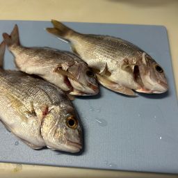 チャリコ