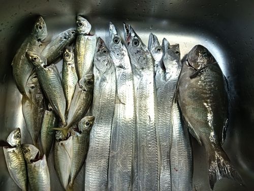 和歌浦湾