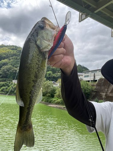 鹿野川湖