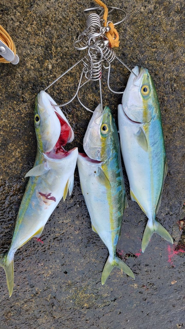 SHIMANO 19スコーピオン 2702R-2の最安値・インプレ・釣果