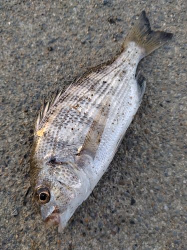 潜ヶ浦水道