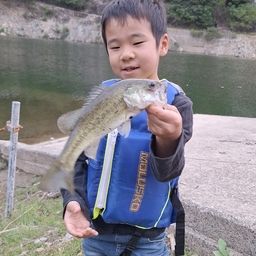 ブラックバス