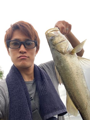 旭川河口