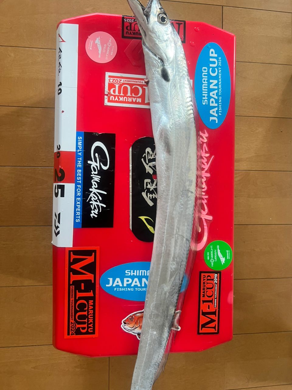 DAIWA 17極鋭 タチウオ ゲーム AGS M-180の最安値・インプレ