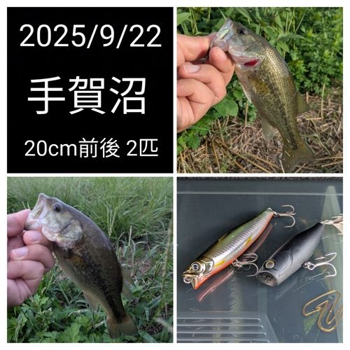手賀川