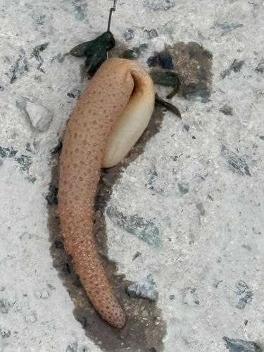 境水道