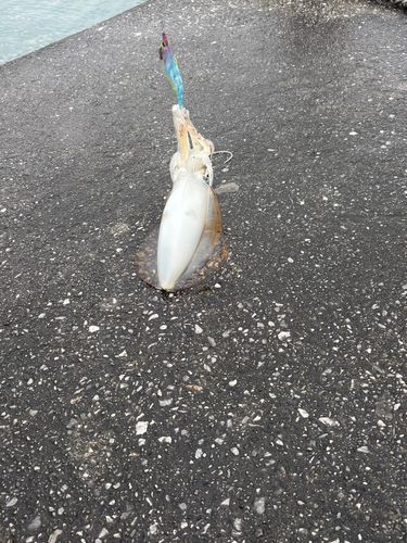 名護漁港