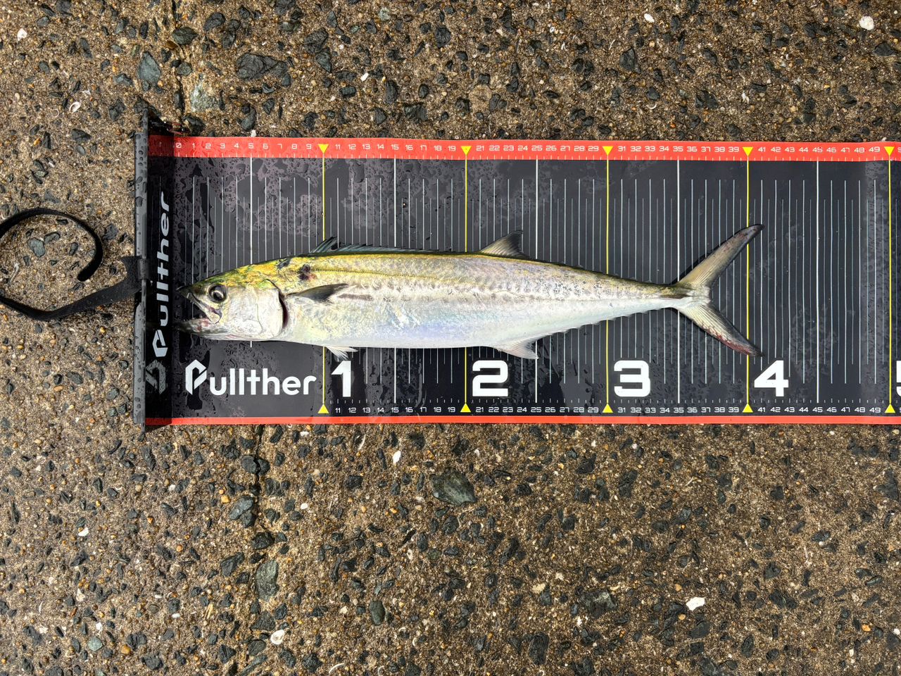 ダイワ(DAIWA) ロッド 21 ラブラックス AGS 93ML Amazon | ダイワ(DAIWA) ロッド 21 ラブラックス AGS 86ML