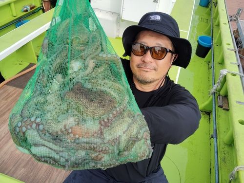 マダコの釣果