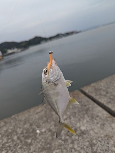 紀伊水道