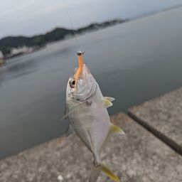 メッキ