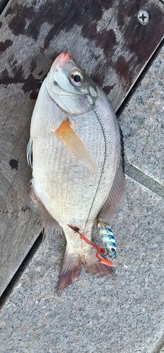小名浜港アクアマリンふくしま周辺