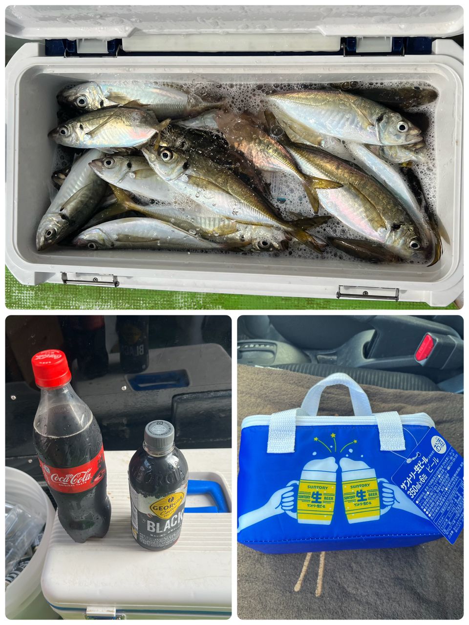 政信丸さんの釣果 3枚目の画像