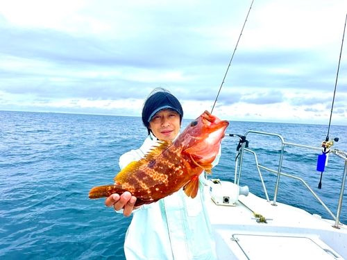 キジハタの釣果