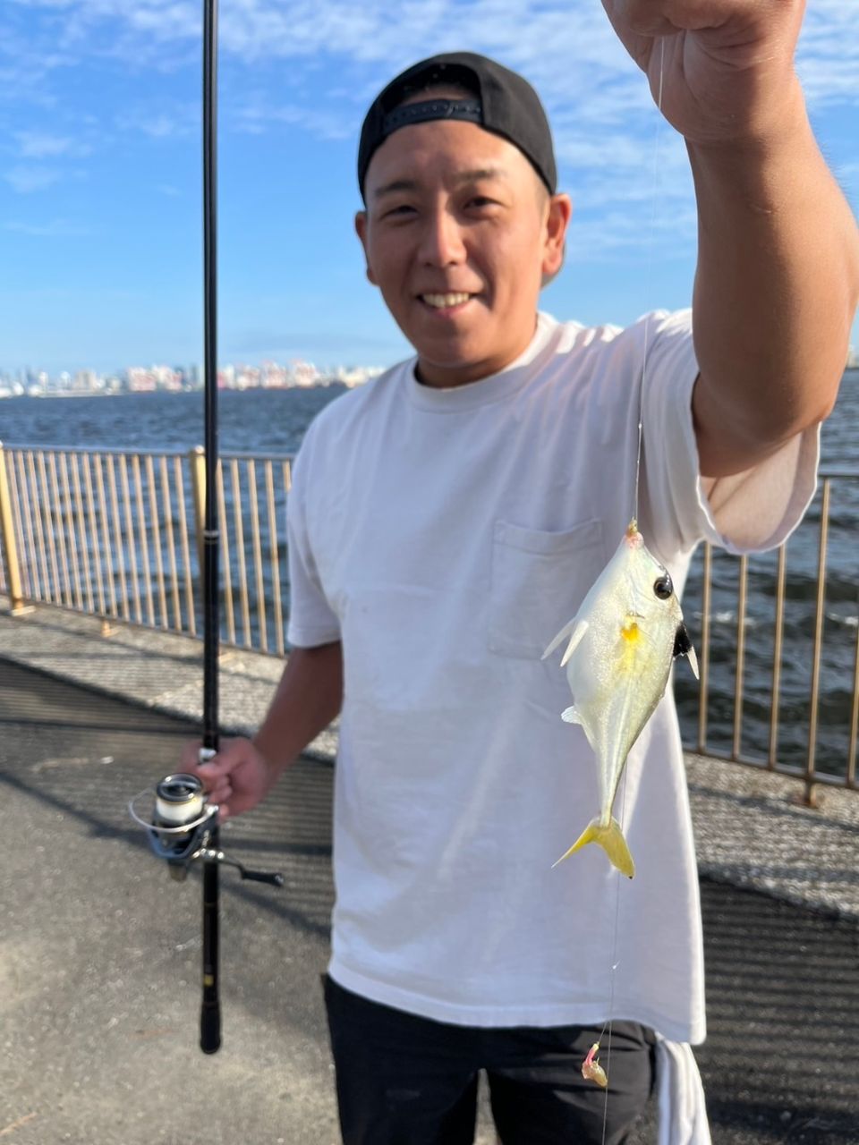 シロギス