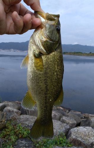 南湖東岸