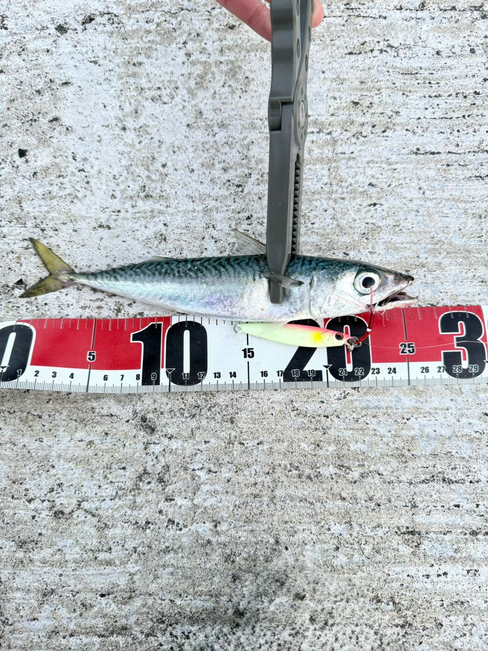 【極美品】シマノ 22コルトスナイパー SS LSJ S96ML シマノ 22コルトスナイパーSS LSJの使用感の特徴・番手選びの