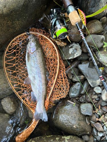 魚野川