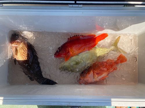 熊野灘