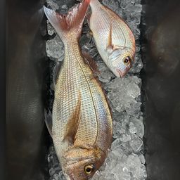 タイ