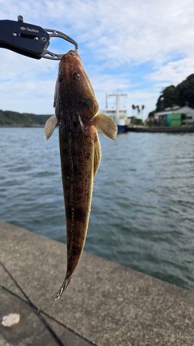 稲生沢川河口