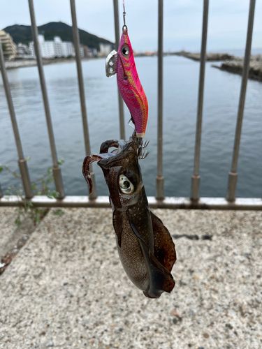 平磯海づり公園
