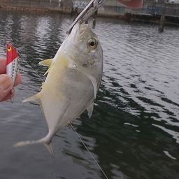 メッキ